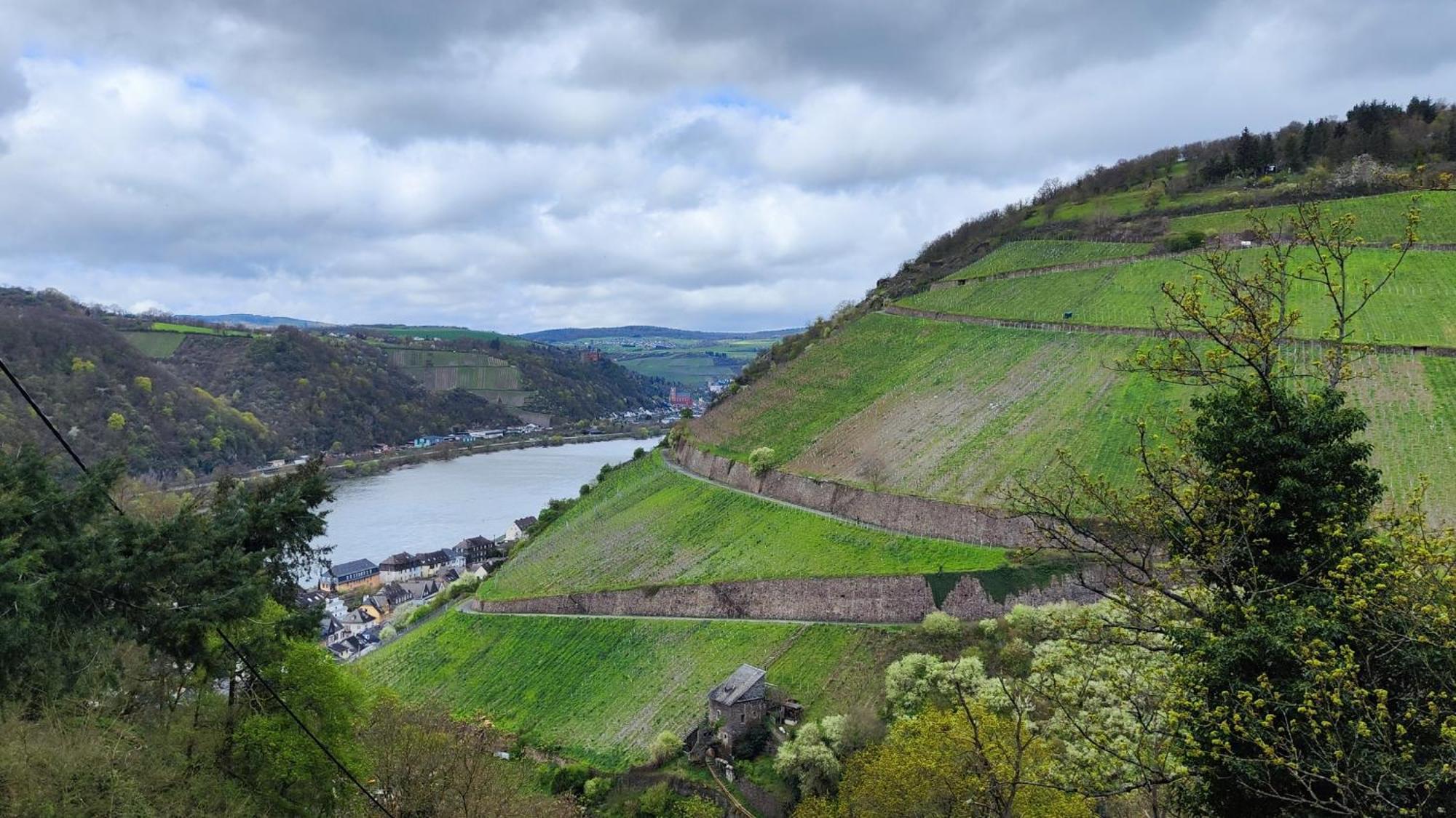 Direkt Am Rhein Mit Burgblick Nahe Rheinsteig Bis 8 Personen, 2 Baeder, 4 Zimmer, Kueche, Netflix