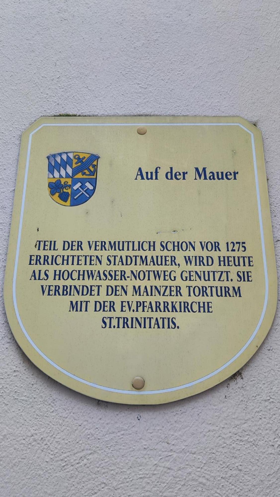 Apartment Direkt Am Rhein Mit Burgblick Nahe Rheinsteig Bis 8 Personen, 2 Baeder, 4 Zimmer, Kueche, Netflix *