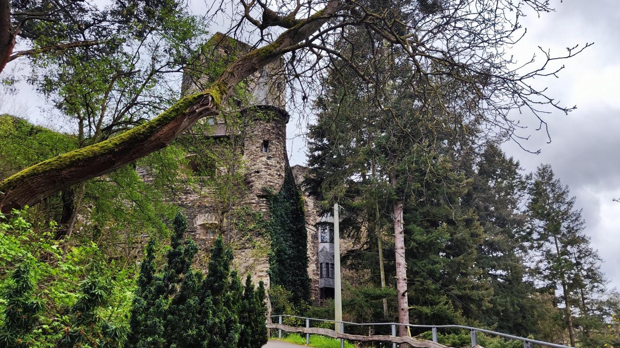 Direkt Am Rhein Mit Burgblick Nahe Rheinsteig Bis 8 Personen, 2 Baeder, 4 Zimmer, Kueche, Netflix * Kaub