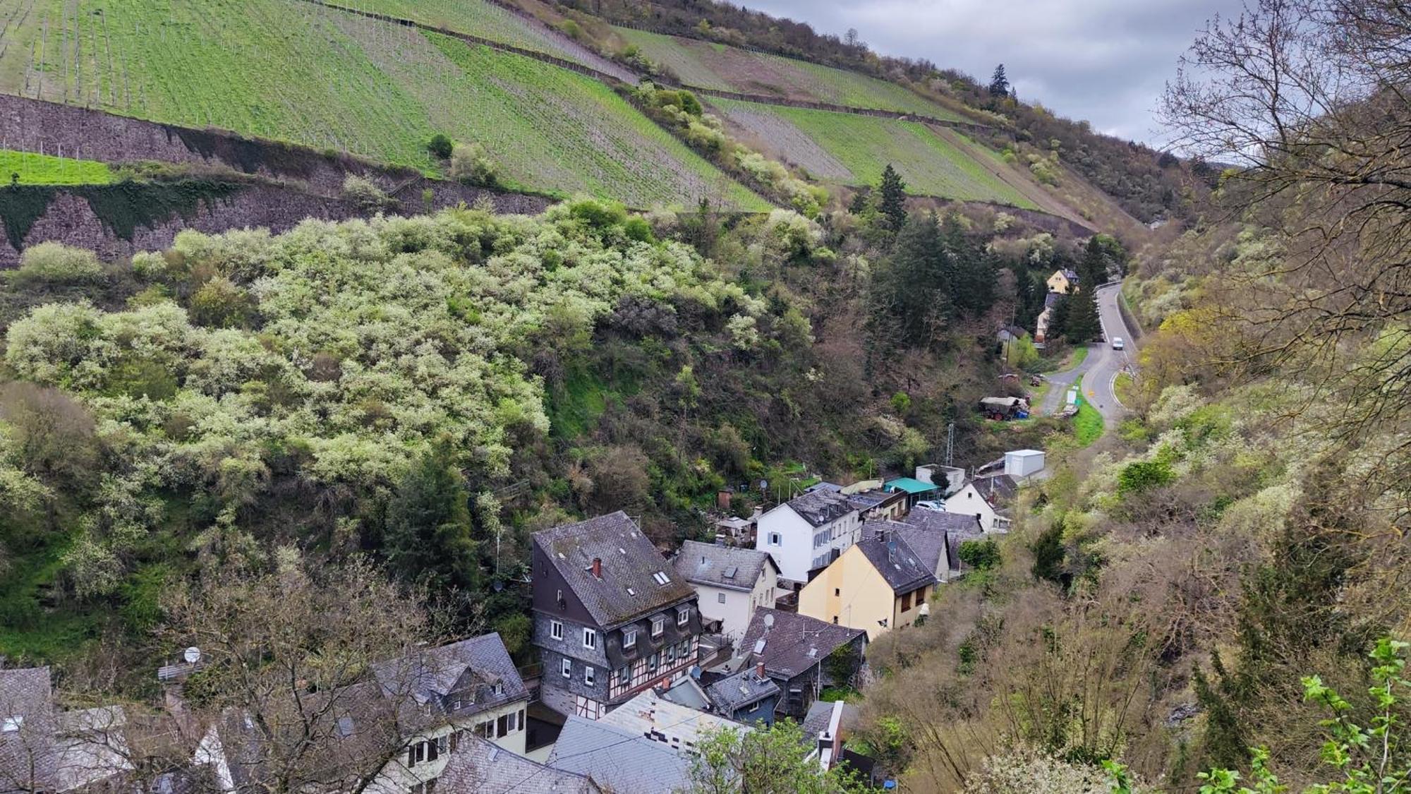 Direkt Am Rhein Mit Burgblick Nahe Rheinsteig Bis 8 Personen, 2 Baeder, 4 Zimmer, Kueche, Netflix *